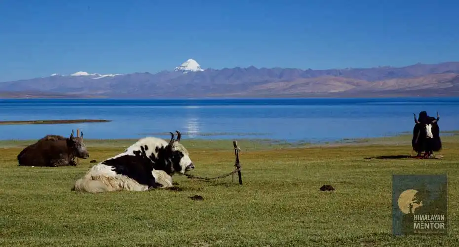 The panoramic view of Mt. Kailash, Lake Manasarovar  