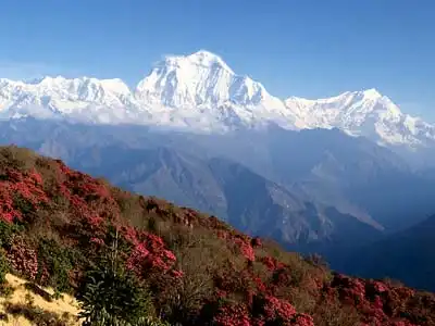 Annapurna trekking Annapurna trekking