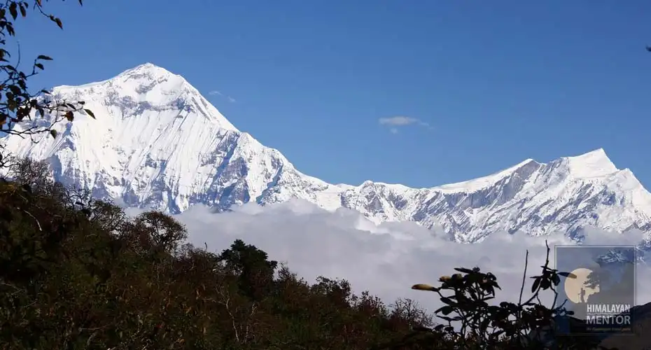 Mt. Dhaulagiri from Khopra Hill