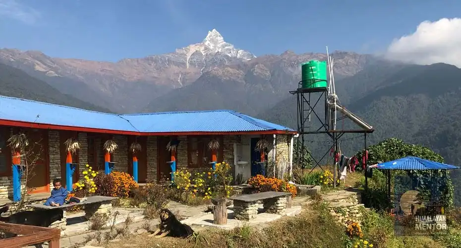 Lodge for the overnight stay in Mardi Himal trek