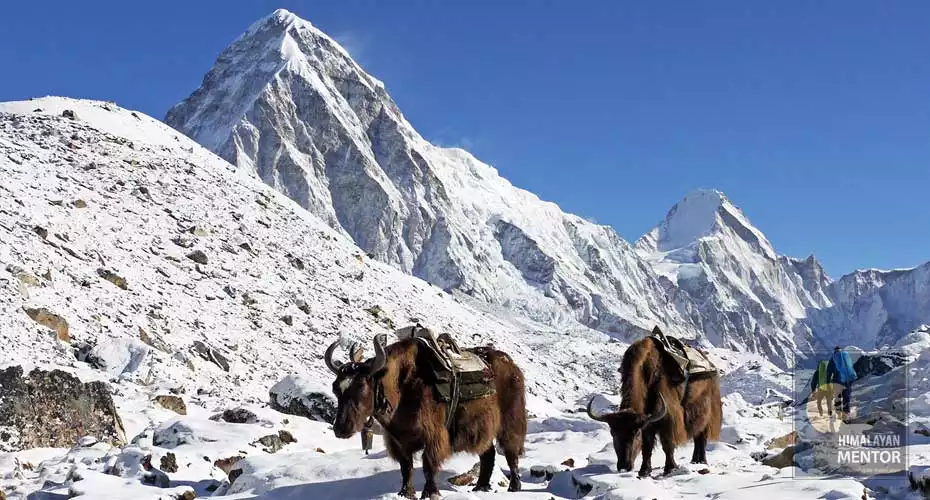 Snow filled way to Everest base camp