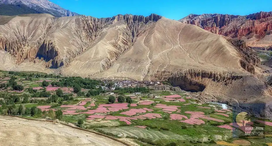 Colorful farmland and Dry Mountain of Mustang in the background 