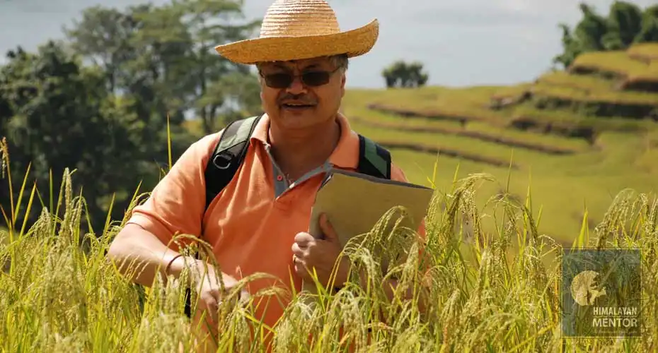 Researcher on field to study about the crops in Nepal