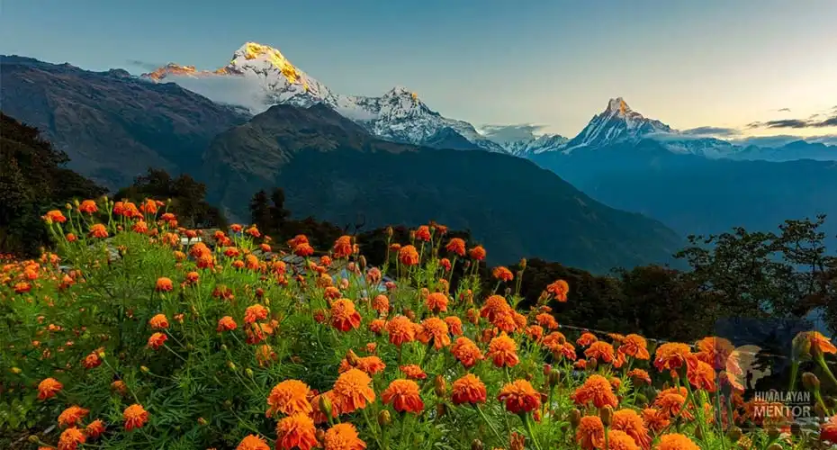 Amazing Himalayan panorama from Ghandruk during autumn