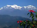 Royal trekking Pokhara