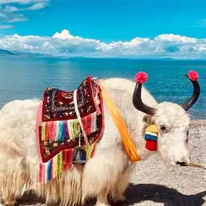 Lhasa and Namtso Lake Tour