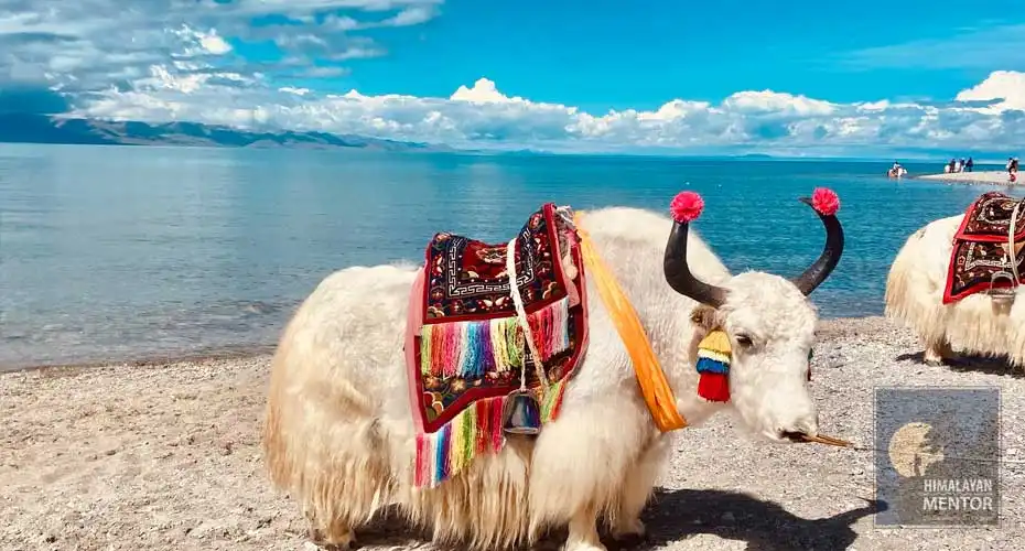 Namtso Lake which  is one Tibet's most sacred lakes!