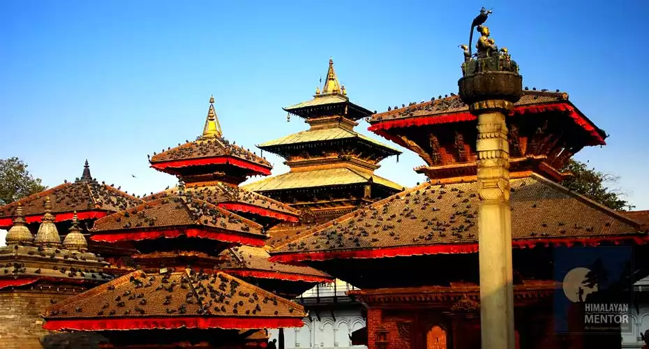 Pigeons at the top of the temples in Kathmandu Durbar Square